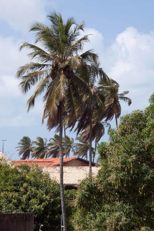 Brisol Hotel Joao Pessoa Exterior photo